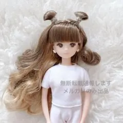 2025年最新】リカちゃんキャッスル月間ドールコレクションの人気