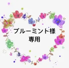 ブルーミント様 リクエスト 3点 まとめ商品