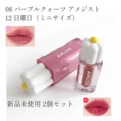 新品未使用 アミューズ 2個セット デューティント
