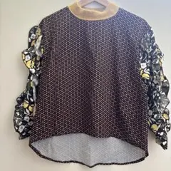 Item thumbnail for item 777b74eb-f526-479d-950a-788c7f18e5f4