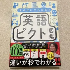 【美品】英語ピクト図鑑 ひろゆき絶賛！