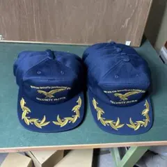 Item thumbnail for item 099589af-5822-4ef4-ac08-cb978c3f88e0