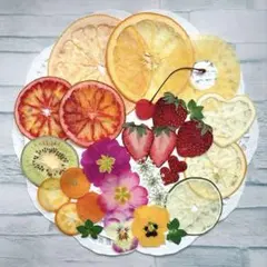 もちもちこ様 リクエスト 2点 まとめ商品