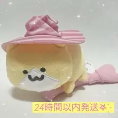 お文具といっしょ パステル魔法使い ぬいぐるみ 猫さん - メルカリ
