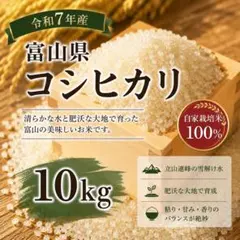 令和7年産 富山県産コシヒカリ 10kg 玄米 低温保管 - メルカリ