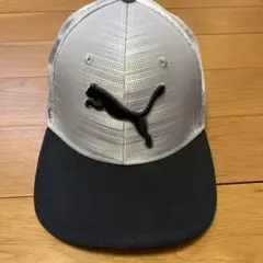 Item thumbnail for item 0586741e-9570-40a6-892b-ba306c47600e