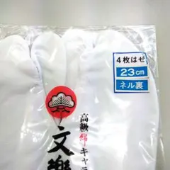 Item thumbnail for item 07514d5e-c8f6-4023-bec4-997cebcfa76a