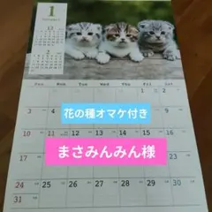 2027年 壁掛けカレンダー 子猫デザイン 六曜入り　可愛いネコ