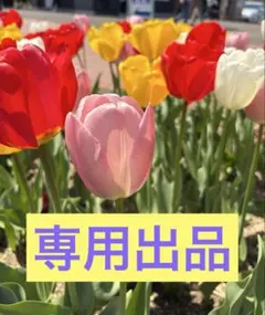古着まとめ売り