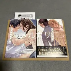 りんこ＋三原しらゆき　つかの間の恋人　【新品未読有り】【応募券無し】