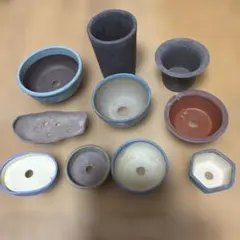 植木鉢 10点セット 陶器 盆栽鉢 多肉植物のサムネイル