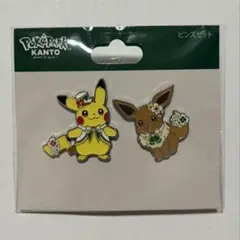 ポケパーク カントー ピンズセット ピカチュウ イーブイ
