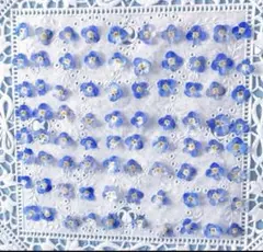 なな様専用　ドライフラワー素材　オオイヌノフグリ No.2739