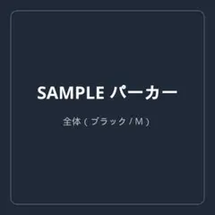 新品 メンズ パーカー ブラック M フード ロゴ