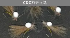 Item thumbnail for item 8550c349-2c31-47ea-87bc-1f03f3d8dfd3