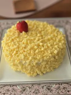 ろろ様専用☆ハンドメイド　ディスプレイ　ケーキ イチゴトッピング