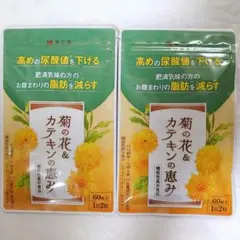 Item thumbnail for item c6ce0075-7a88-49e6-8e36-7cf8cf00f038