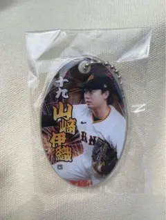 ☆nachan2419☆様 リクエスト 2点 まとめ商品