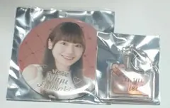 Item thumbnail for item 736e3022-aca4-4552-8f5f-57e884d5cd98