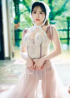 【DVD付 限定版】西野夢菜 ファースト写真集 『 夢なら醒める菜 』