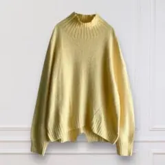 【イッツインターナショナル】 ニットセーター 柔らか size F