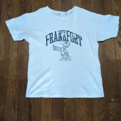 Item thumbnail for item 780e1f2e-aa8c-40a2-89c8-baf3140d9685