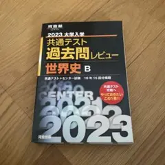 2023 大学入学 共通テスト 過去問レビュー 世界史 B