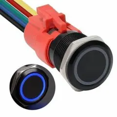 Item thumbnail for item 8e5a189a-7d3f-4736-9e60-c0d1bf5dc199