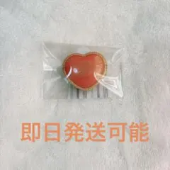 《即購入可能》 スタライ リンライ リングライト 5th レオ