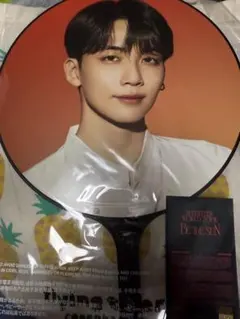 SEVENTEEN BE THE SUN うちわ ジョンハン JEONGHAN