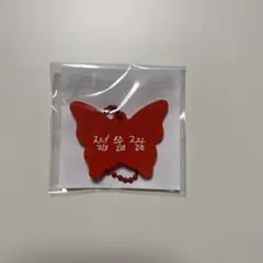 NCTDREAM ドリショ　ランダムトイ　チソン