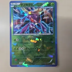 ゲノセクト PROMO BW-Pプロモカード 219/BW-P