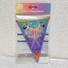 ★ディズニー40周年　ガーランド　水色紫★のサムネイル