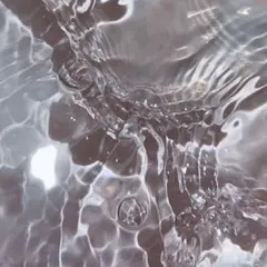 ■ ▶︎▶︎Ca#rii様 専用