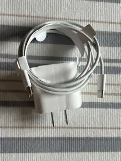 Apple USB-C充電ケーブルと20W USB-C電源アダプタ（純正）
