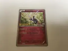 2026年最新】ポケモンカード ゼルネアス 051/XY-P プロモの人気