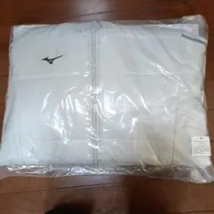 Item thumbnail for item ef084f9f-12bc-4c95-b426-c0117baaa644