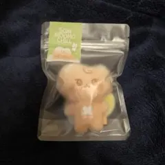 nct127 SOM-MOONG-CHILL KEYRING DOYOUNG