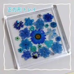 No.399⭐️固まるハーバリウム✨️正方形トレイ プレート