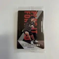 小川智大ウエハース