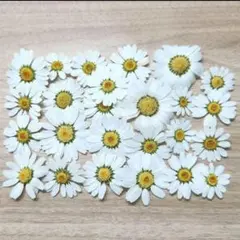 mako グッズ整理中様 リクエスト 2点 まとめ商品