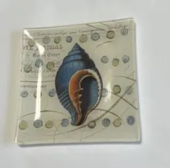 フリンジスタジオ　貝の絵　お皿 FRINGESTUDIO ガラスプレート