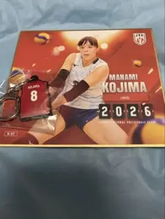 バレーボールネーションズリーグ2026 小島満菜美　ユニフォームキーホルダー色紙のサムネイル