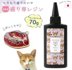 隠れ工房GreenOcean 盛り専レジン 70g 日本製