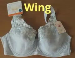 Item thumbnail for item 9bad3ca5-41c3-4fbc-b0f2-4f3d0b921391