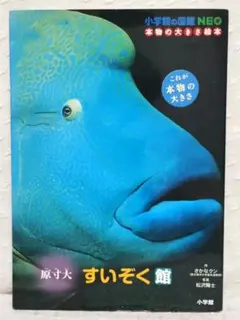 Item thumbnail for item a67ae76b-ba95-4e3f-a784-2a31b54535e6