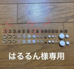 はるるん様専用