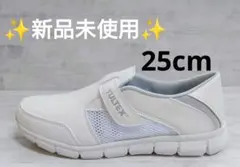 Item thumbnail for item 7a91c41f-a427-48b0-8cdc-1f982a449a93