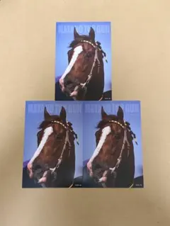 サラブレッドコレクション　マヤノトップガンポストカード　GIGO限定