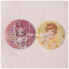 プリキュア　キュアブロッサム　缶バッジ ブルジュラ】キャラクターグッズ / ハートキャッチプリキュア！：15